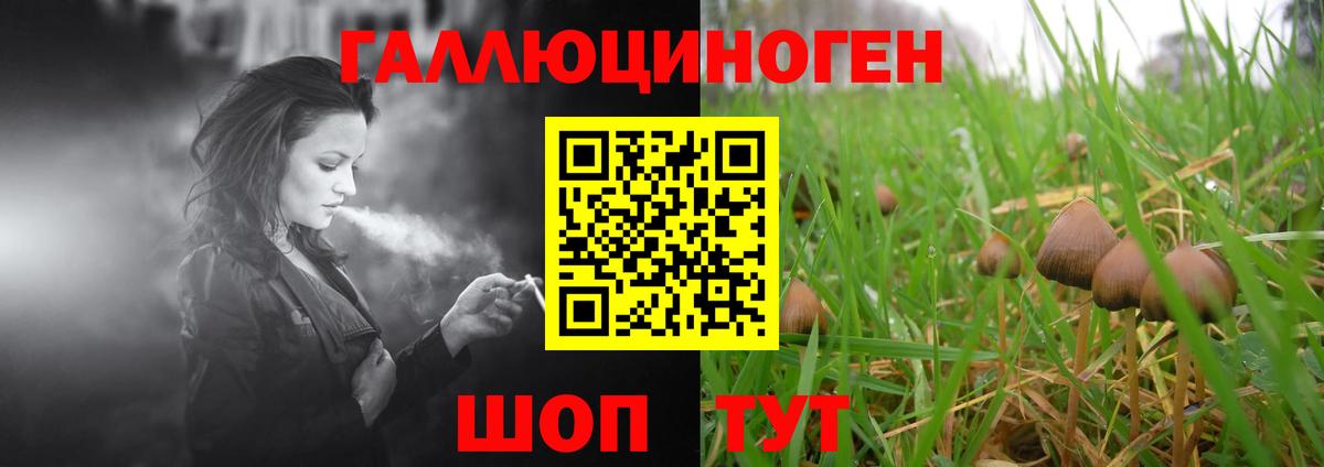 Рославль  Псилоцибиновые грибы MAGIC MUSHROOMS  Вход с VPN 